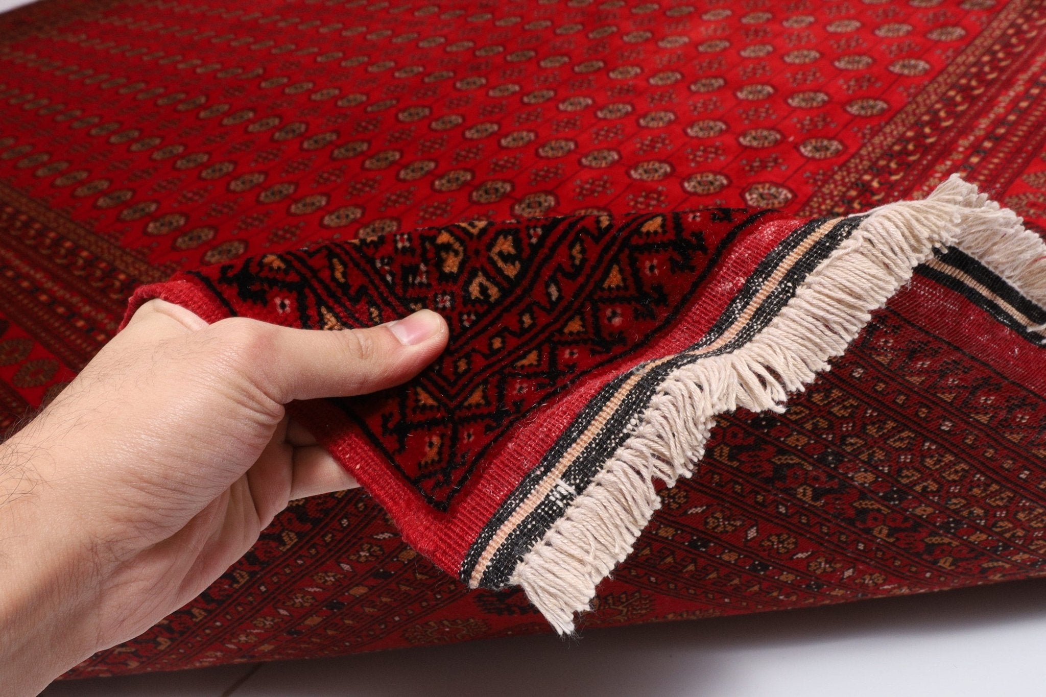 Bokhara - 253 x 345 cm - Jerm Rugs - Jerm | جِرْم