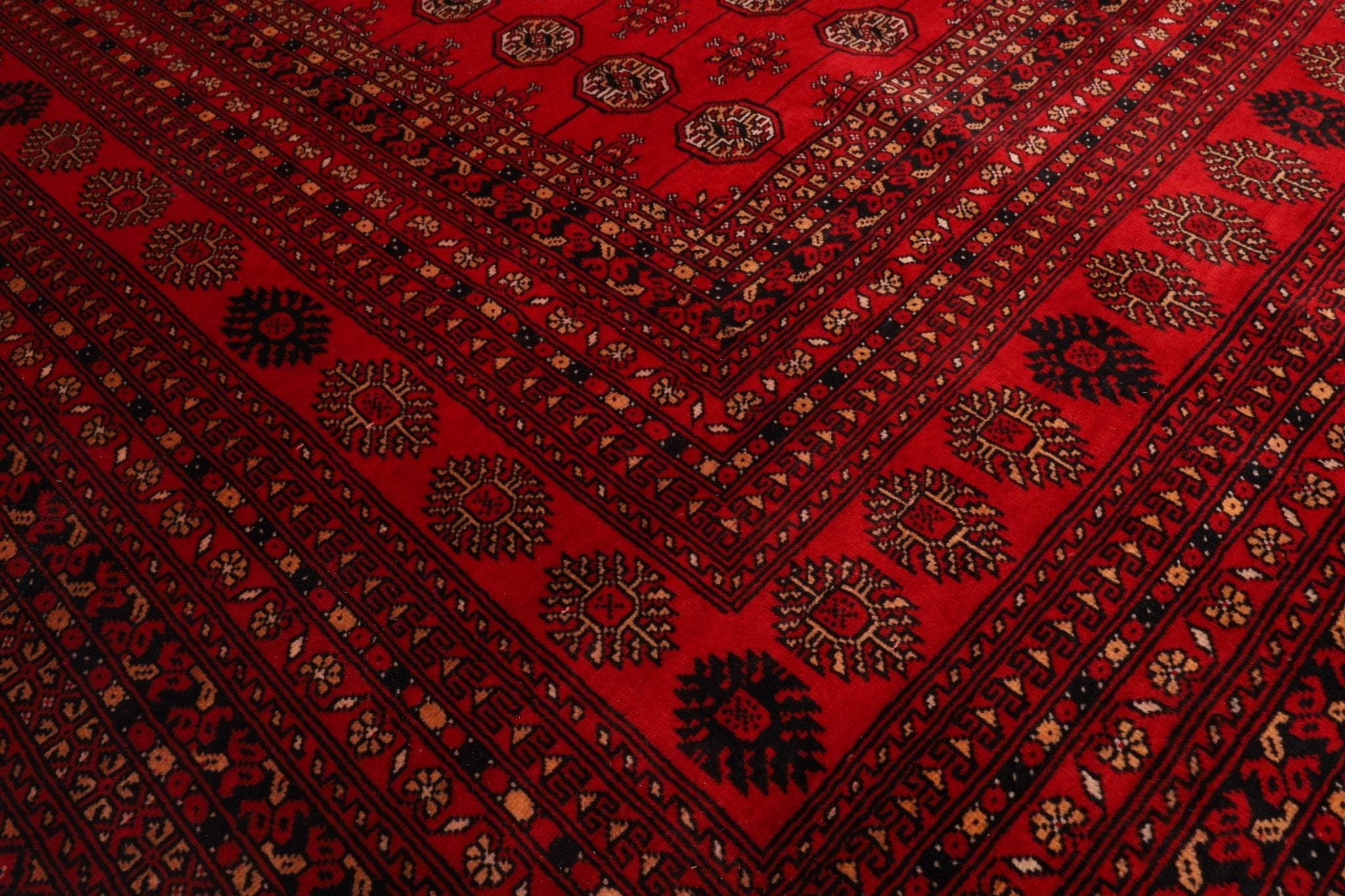 Bokhara - 253 x 345 cm - Jerm Rugs - Jerm | جِرْم