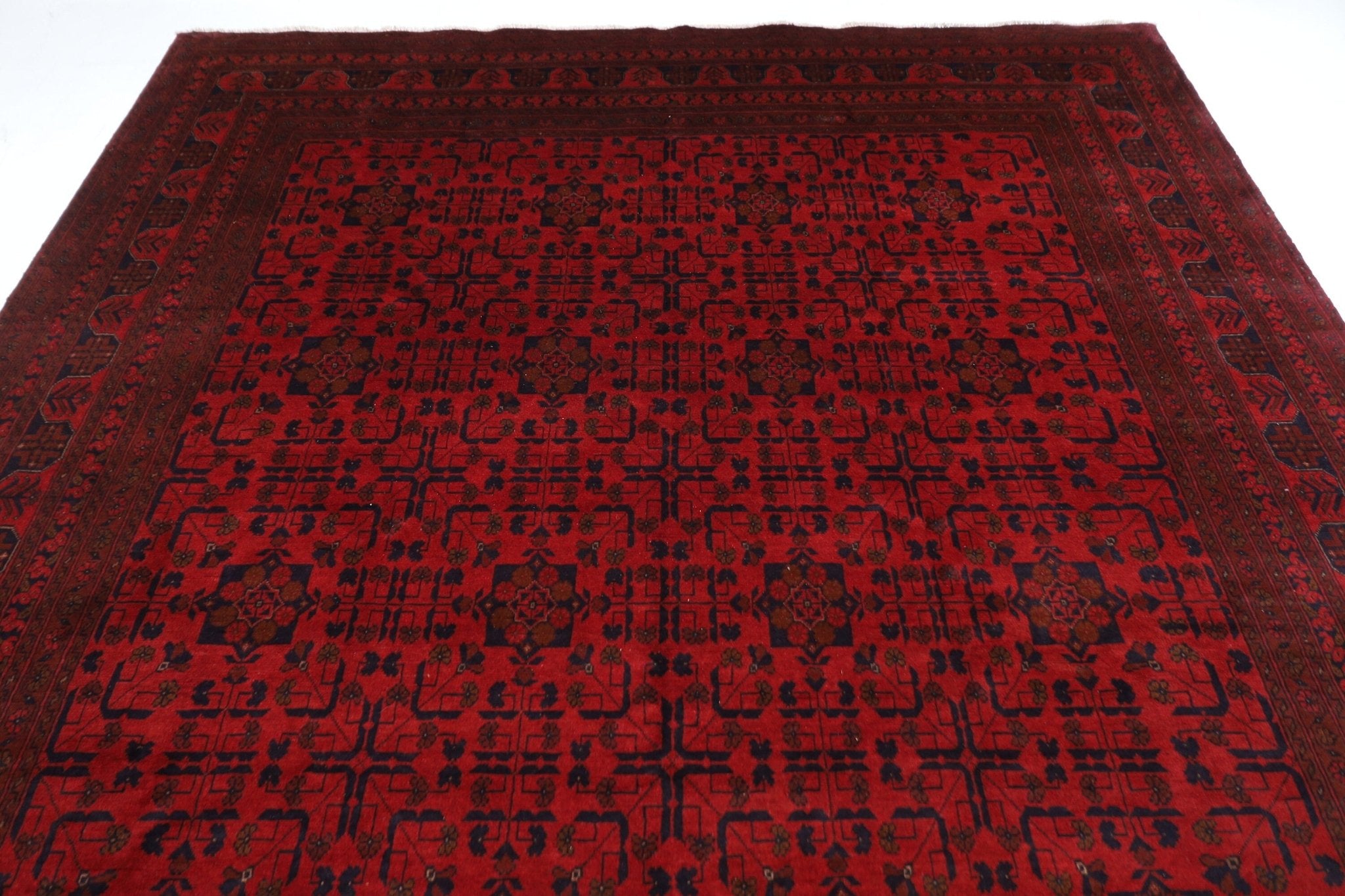 Bokhara Area Rug - 248 x 346 cm