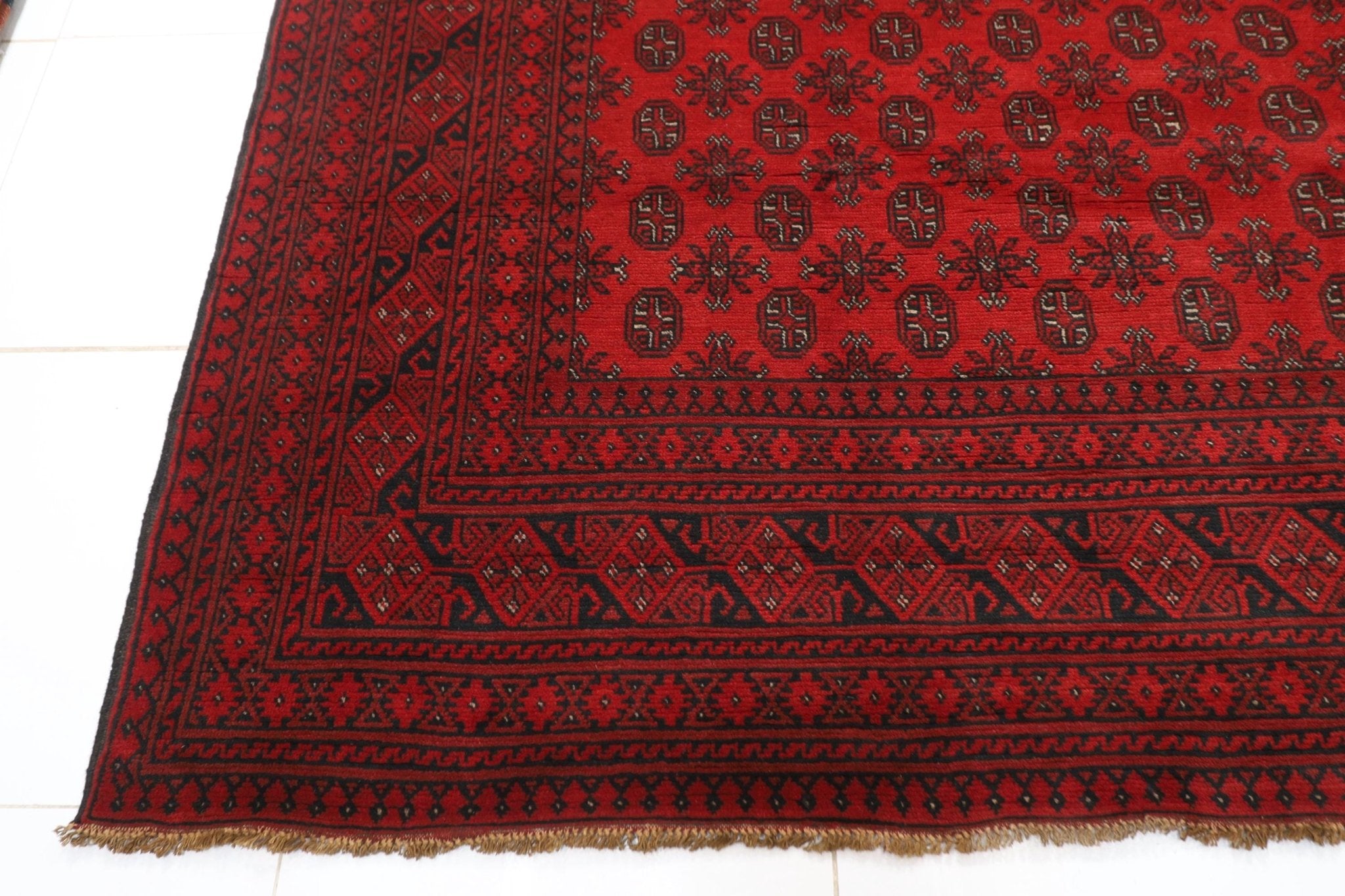 Bokhara Area Rug - 310x380 cm